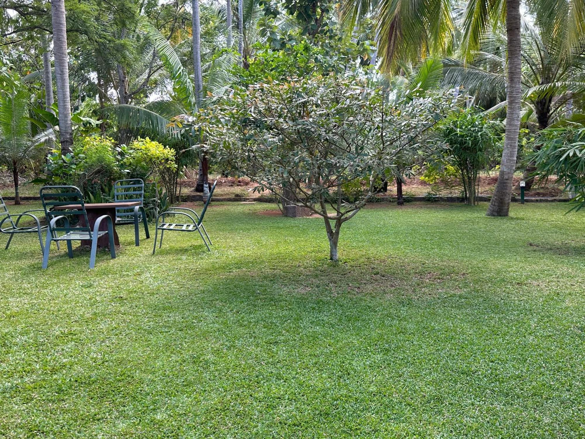 Hotel Heladiv Anuradhapura Luaran gambar